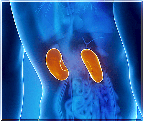 8 Symptoms of Kidney Problems