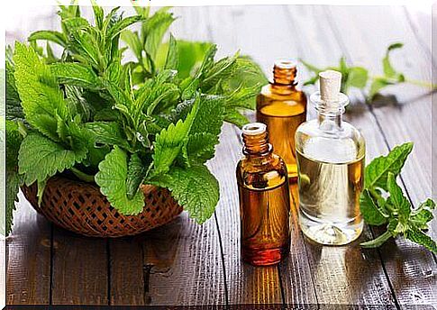 mint oil