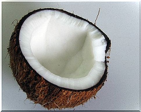 coconut