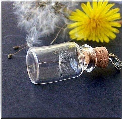 Flower in Bottle