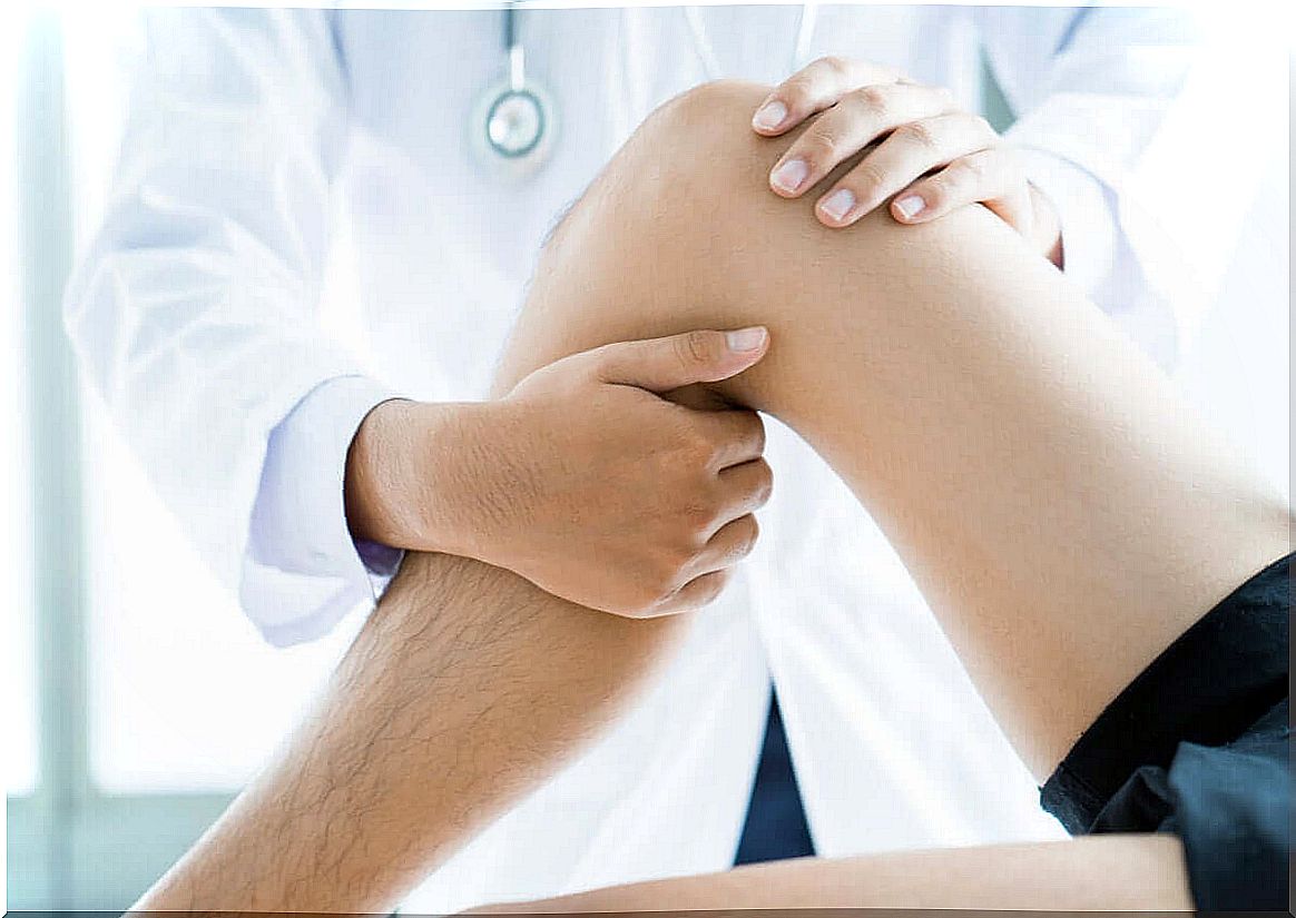 Doctor looks at a knee