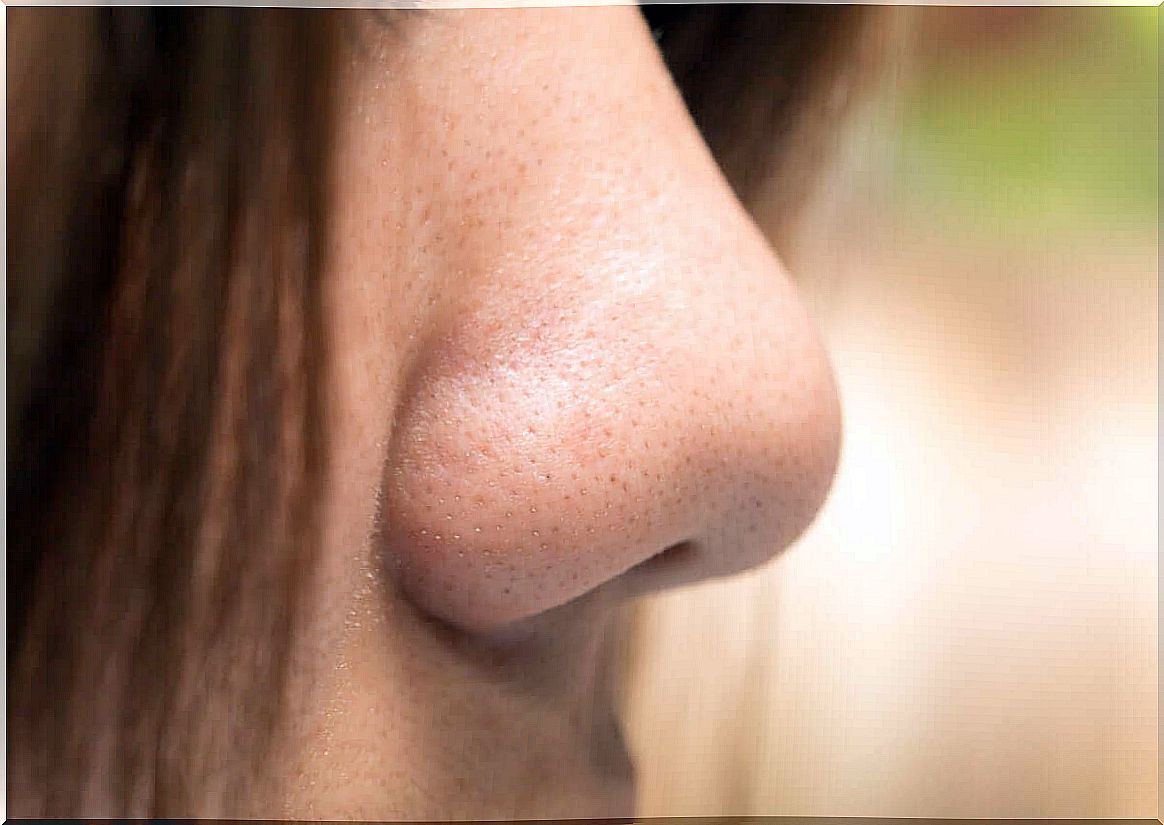 Close up of a nose