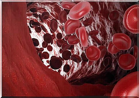 Oxygen transport in a vein