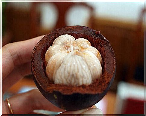 mangosteen