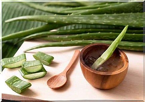 Aloe vera gel has many uses for the skin