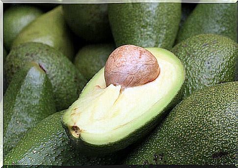 Avocado