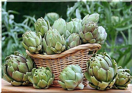 Lower your uric acid level with artichoke