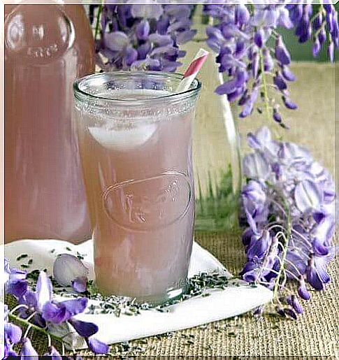 lavender infusion