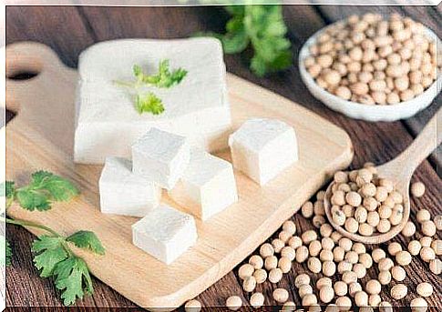 Protein in tofu