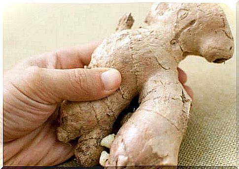 A piece of ginger root