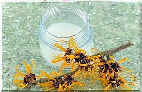 Make a remedy with witch hazel