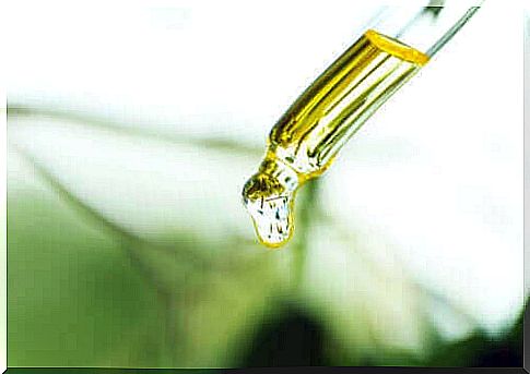 Uses, Contraindications and Benefits of Copaiba Oil