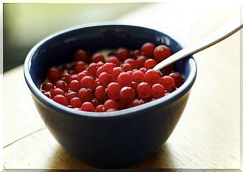 Redcurrant