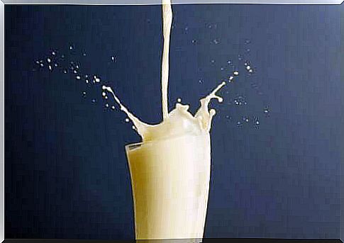 Whole Milk vs. Skimmed Milk: Which Is Better?